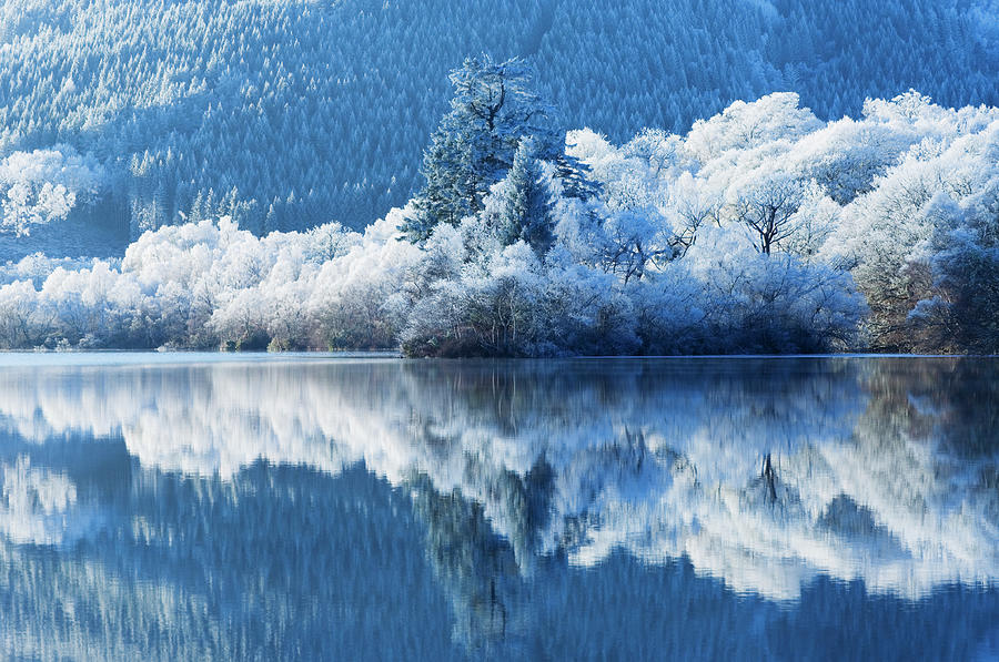 Winter Reflections Photograph by Northlightimages