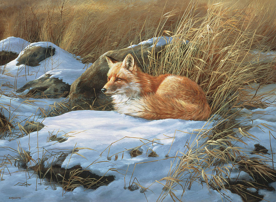 Winter Painting - Winter Repose by Wild Wings