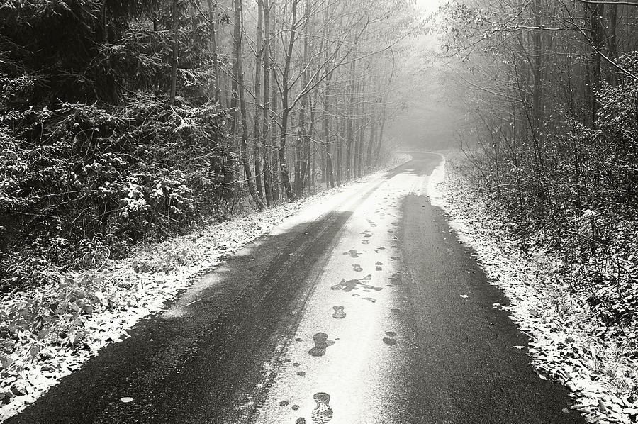 Winter Road Through Misty Woods Photograph by Jenny Rainbow
