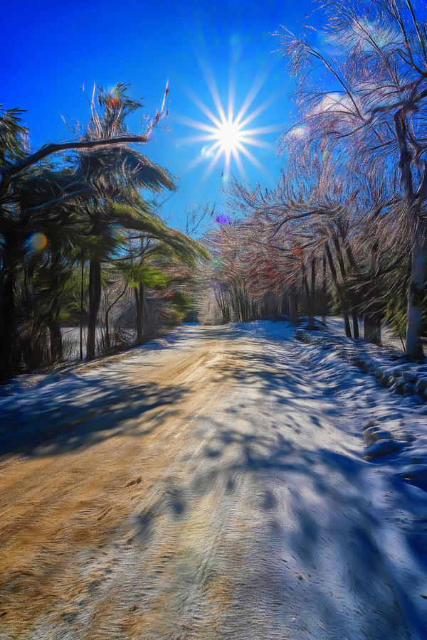 Winter Road Photograph by Tom Singleton