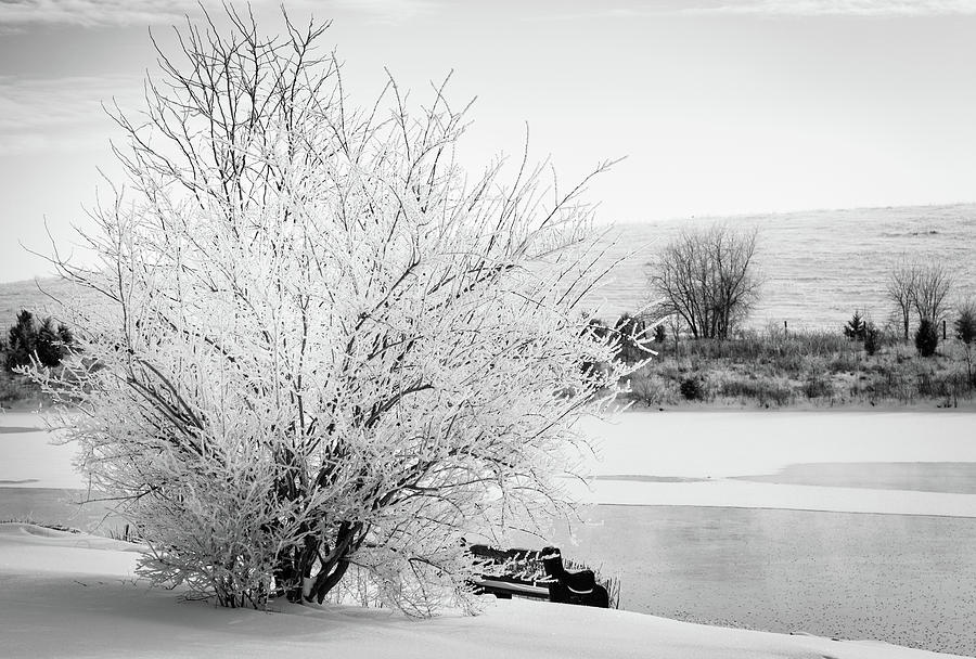 Winter Scene In Central Kentucky Photograph