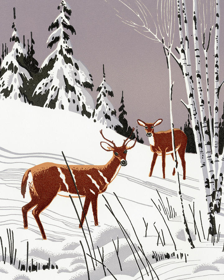 Deer Drawing - Winter Scene of Deer in the Woods by CSA Images