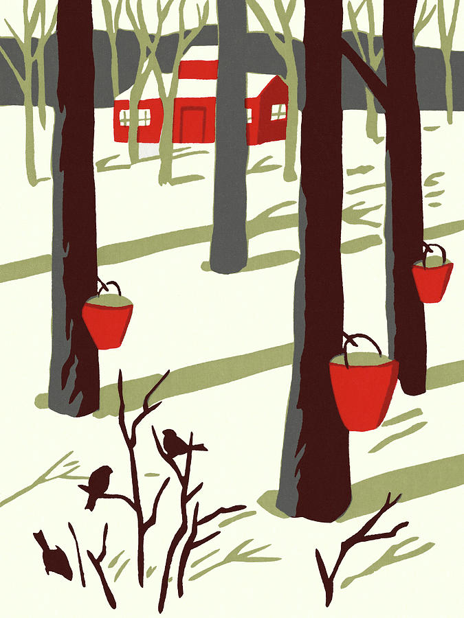 maple syrup tree clip art