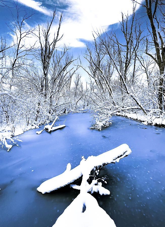 Winter Photograph - Winter  Scenery by Sonya Liu