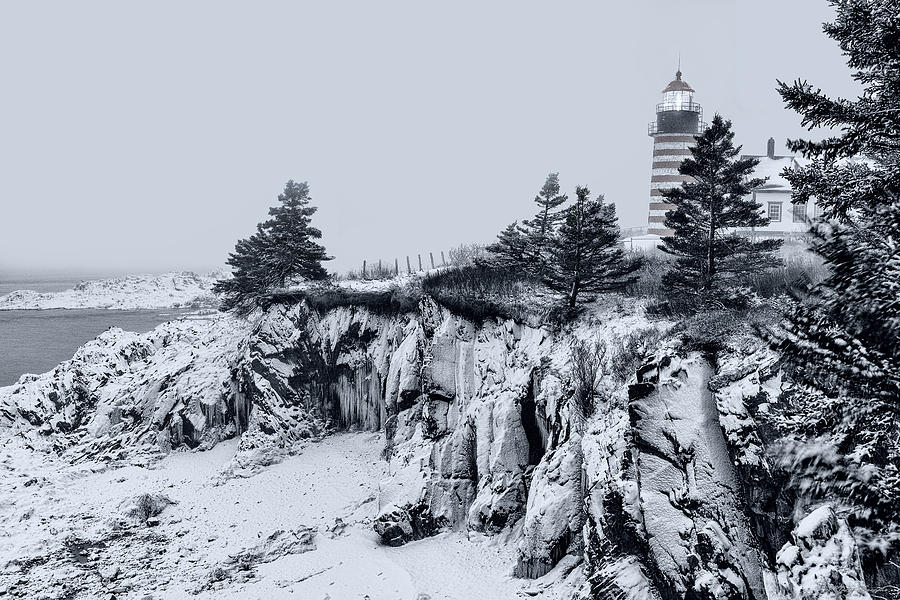 Winter Sentinel in Down East Maine Photograph by Marty Saccone