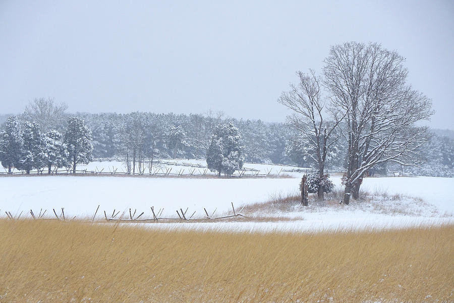 Winter Serenity on the Battlefield Photograph by Brandy Herren