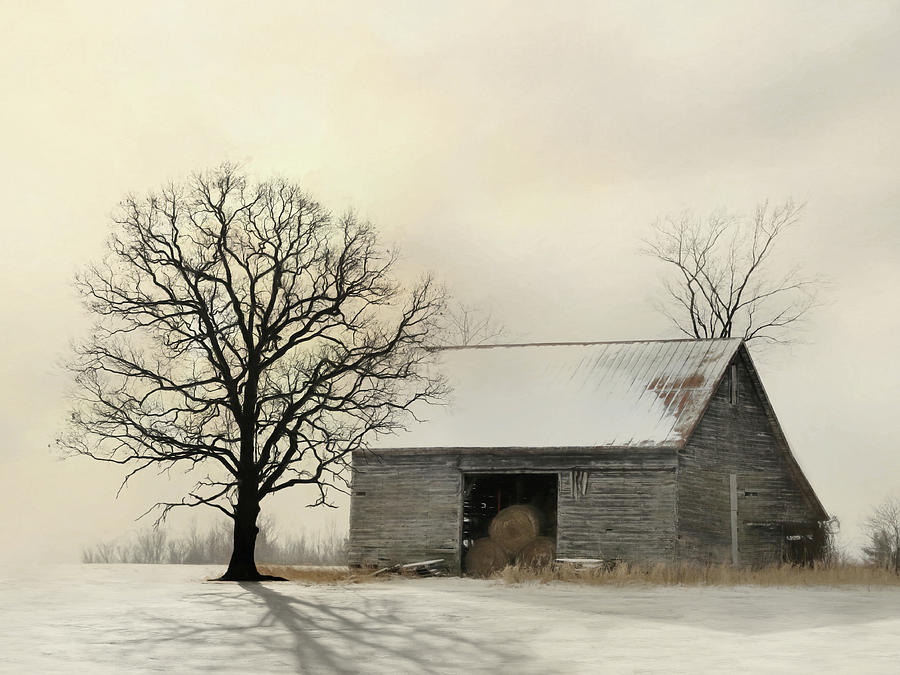 Winter Shadows Photograph by Lori Deiter