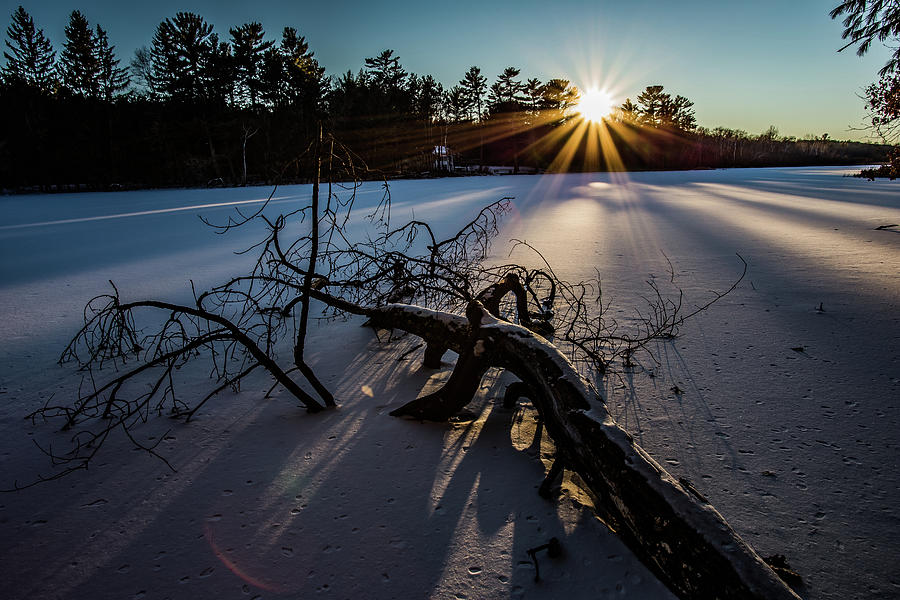 Winter Shadows Photograph by Neal Nealis