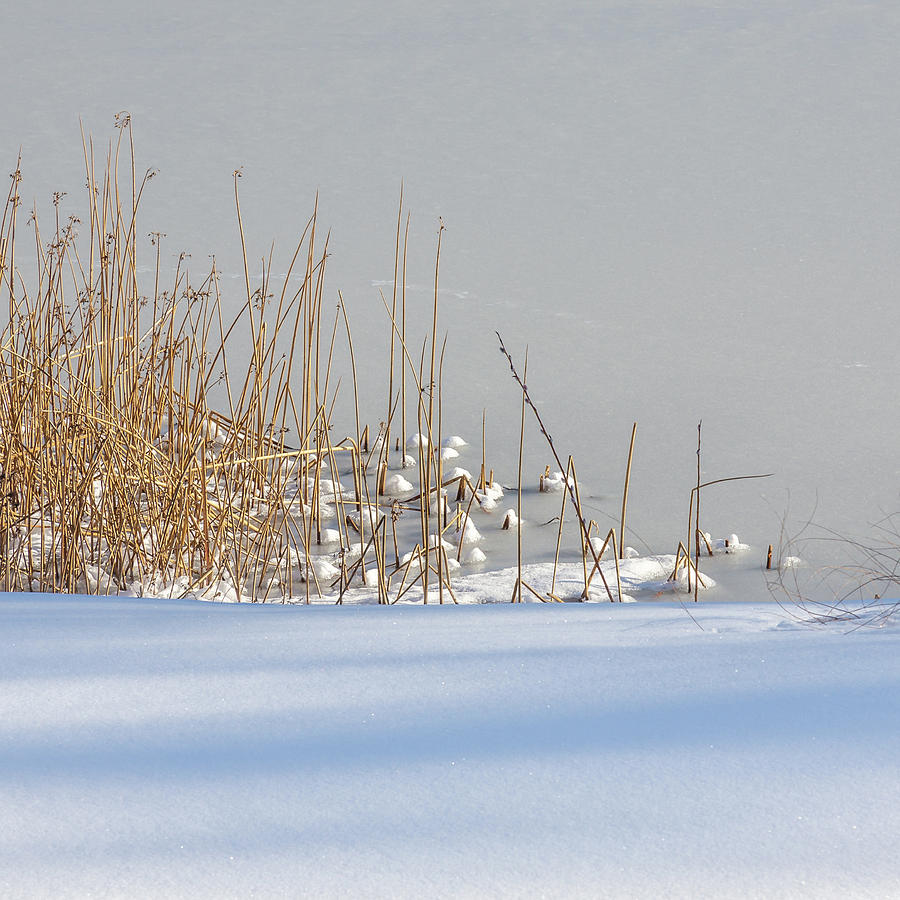 Winter Shore Photograph by Dennis Swena