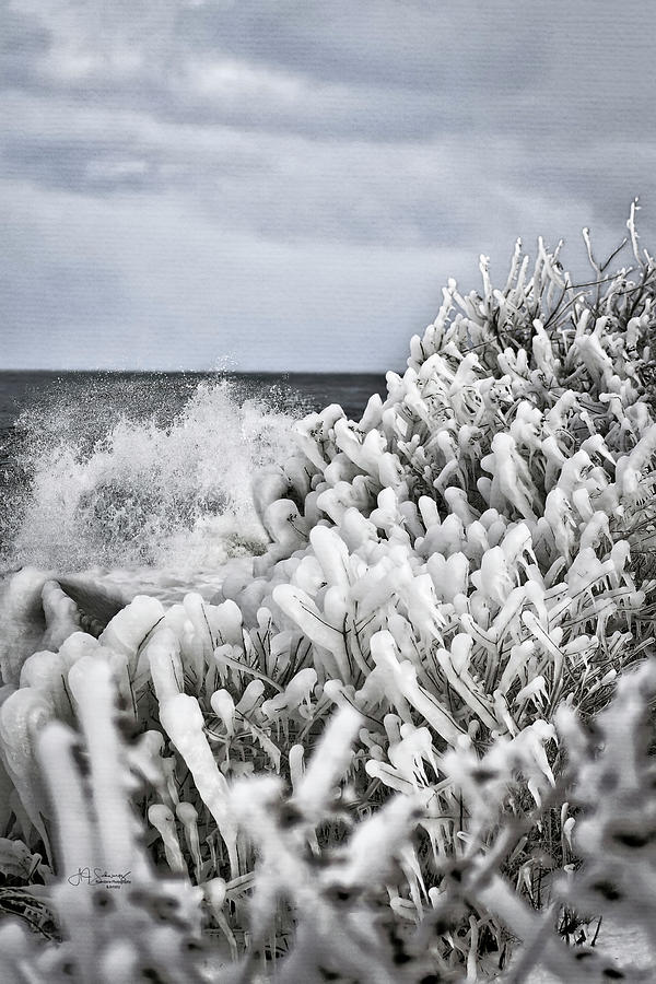 Winter Shore Ice Photograph by Allyson Schwartz