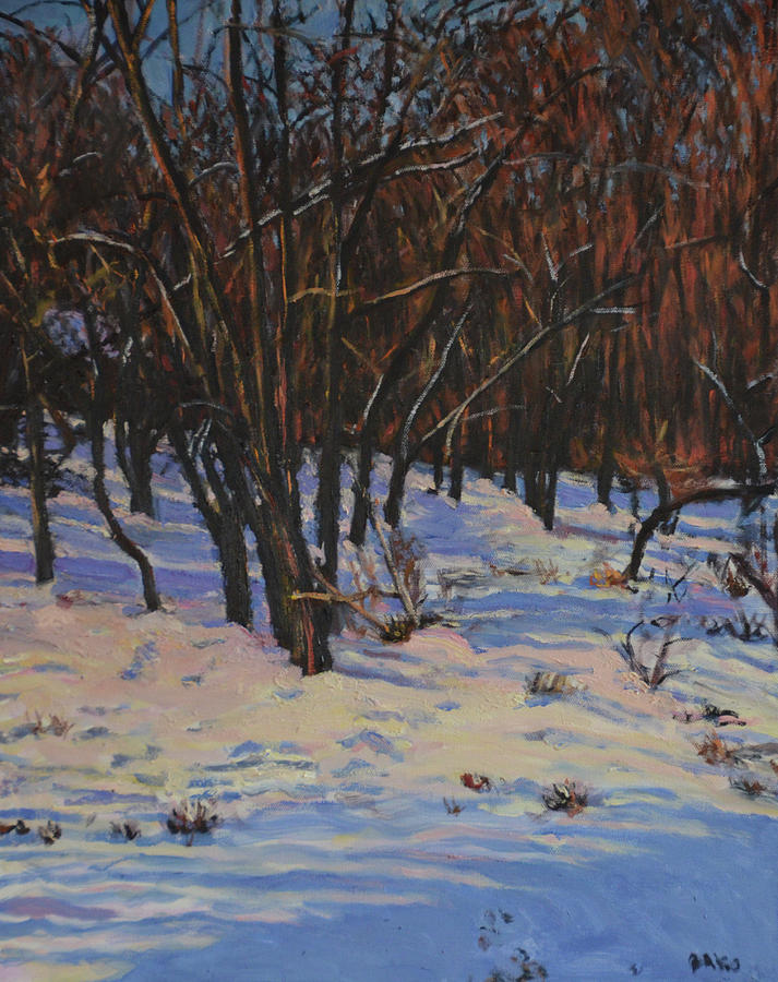Winter Snow Shadows Painting by Beth Riso