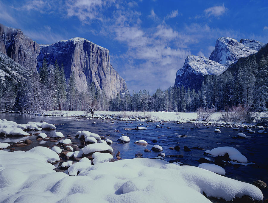 Winter Snow Yosemite National Park by Ron And Patty Thomas