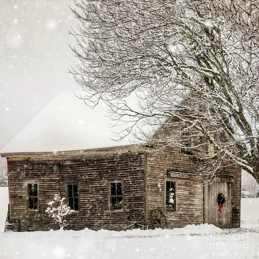 Winter Snowstorm by Susan Garver Winter Snowstorm by Susan Garver