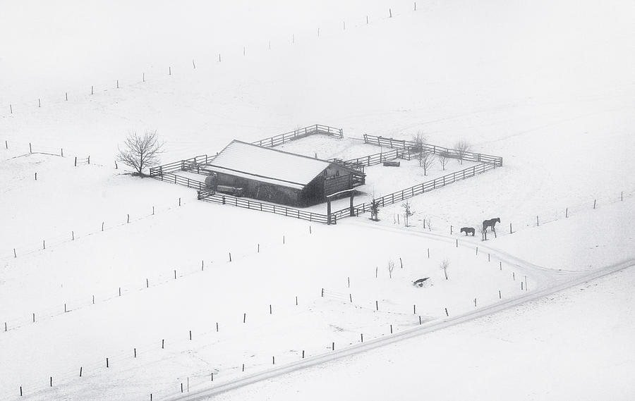 Winter Solitude Photograph by Ales Krivec