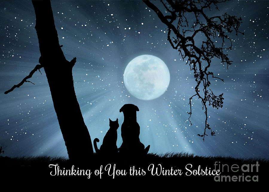 Winter Solstice Cute Dog and Cat Thinking of You Photograph by Stephanie Laird