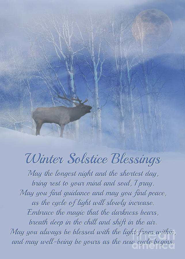 Winter Photograph - Winter Solstice Elk Birch Trees and Moon with Blessings by Stephanie Laird