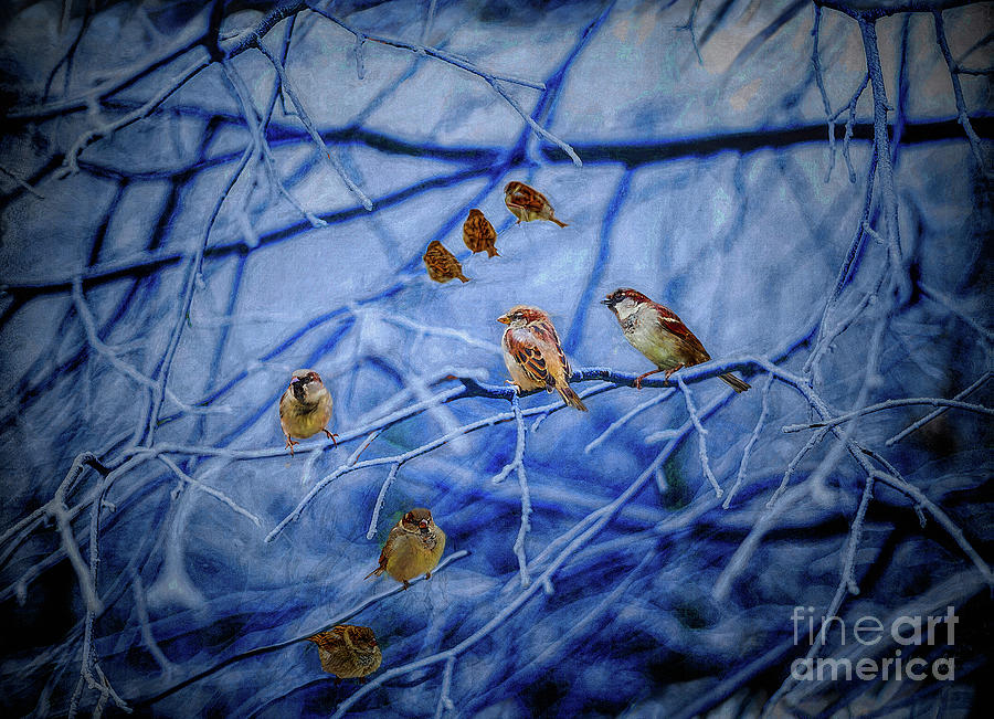 Winter Sparrows Painting by Helen White