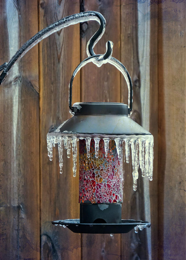 Winter Spectacular - Garden Lantern Photograph by Leslie Montgomery