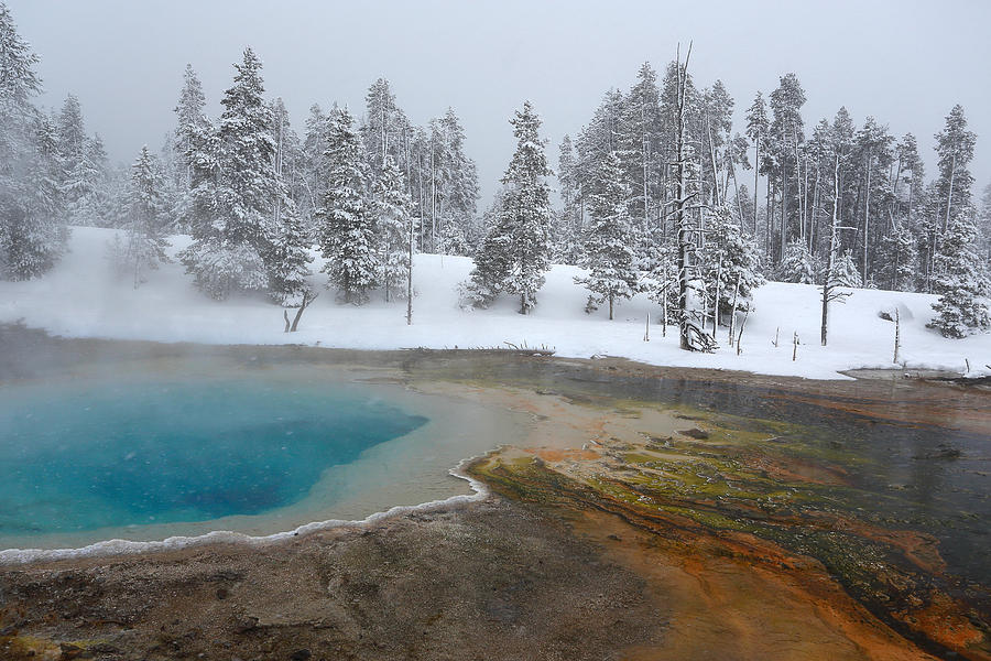 Yellowstone National Park Photograph - Winter Spring by David Andersen