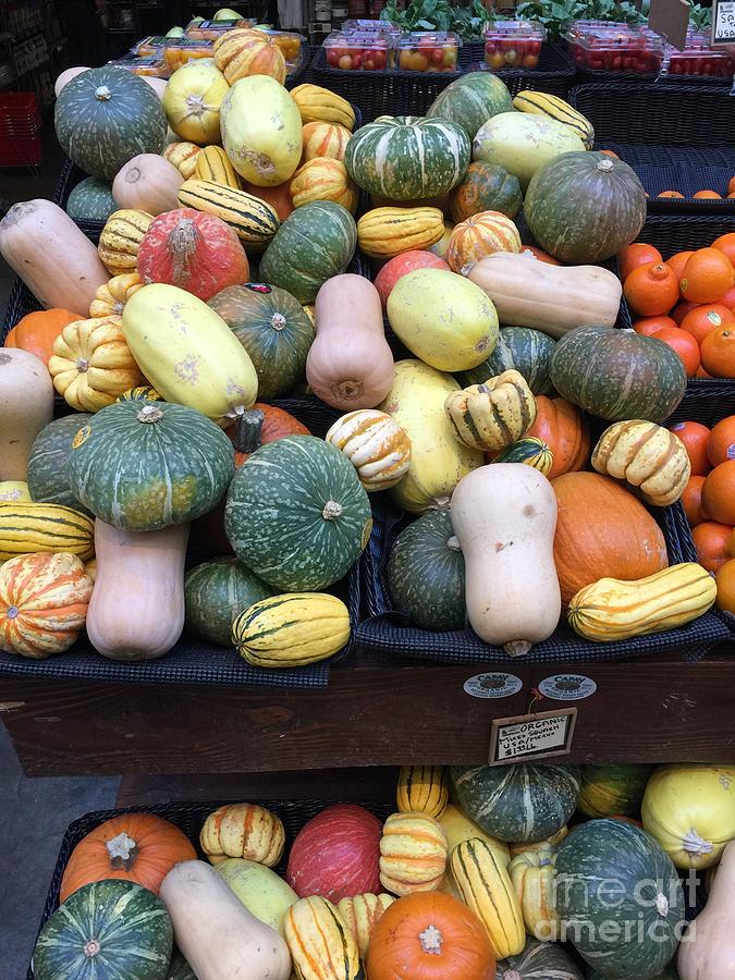 Winter Squash Autumn Colors Photograph by Virginia Giblin - Pixels