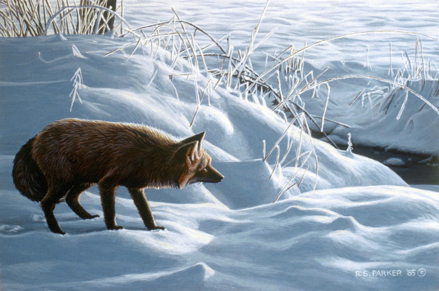 Winter Stalk Painting by Ron Parker