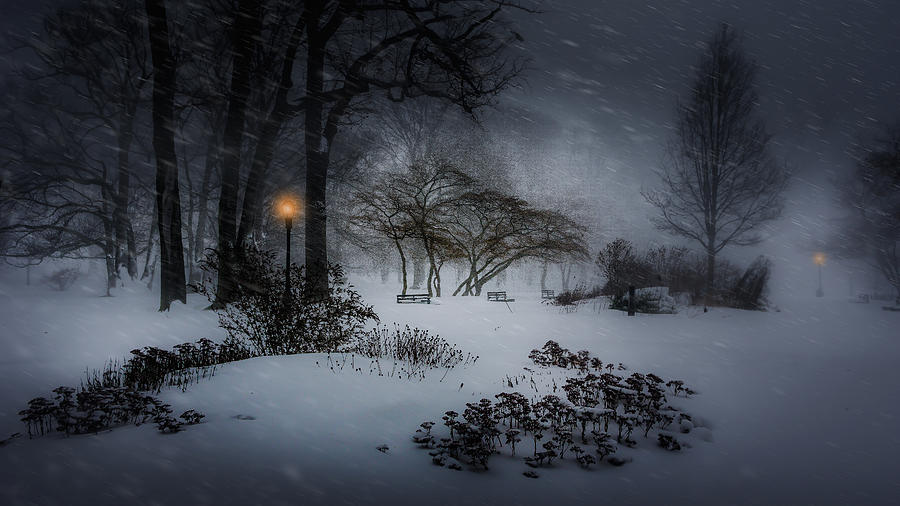 Winter Storm Jonas Photograph by Yi Liang