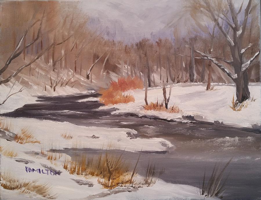 Winter Stream by Larry Hamilton Winter Stream by Larry Hamilton