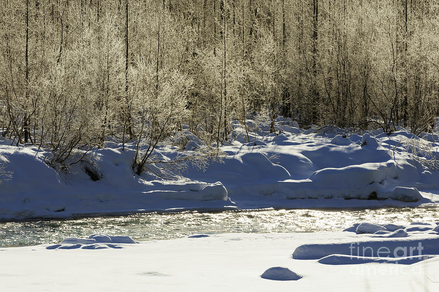 Winter stream near Hope on the Kenai Peninsula Alaska Photograph by Louise Heusinkveld