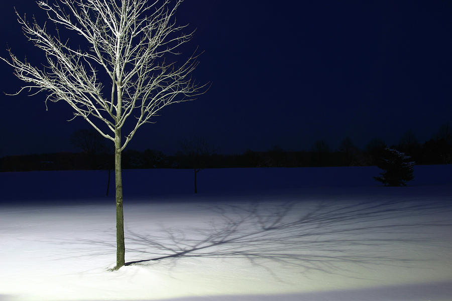 Winter Street Light Scene 4, Night Photograph by Stanrohrer