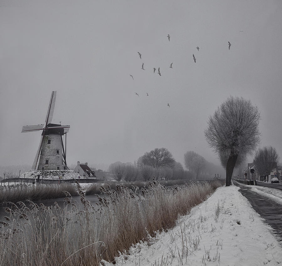Winter Strikes Once More ... Photograph by Yvette Depaepe