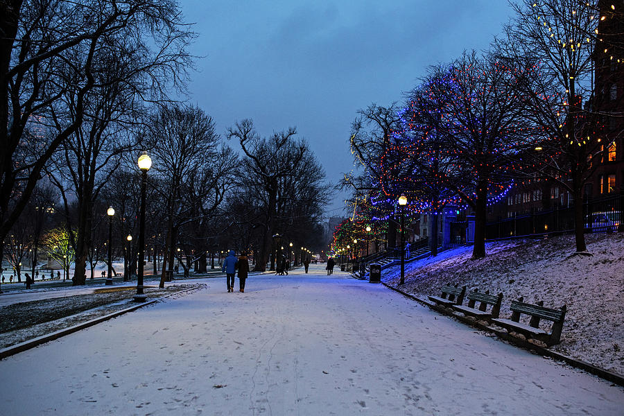 Winter Stroll through the Boston Common Christmas Lights Boston MA Photograph by Toby McGuire