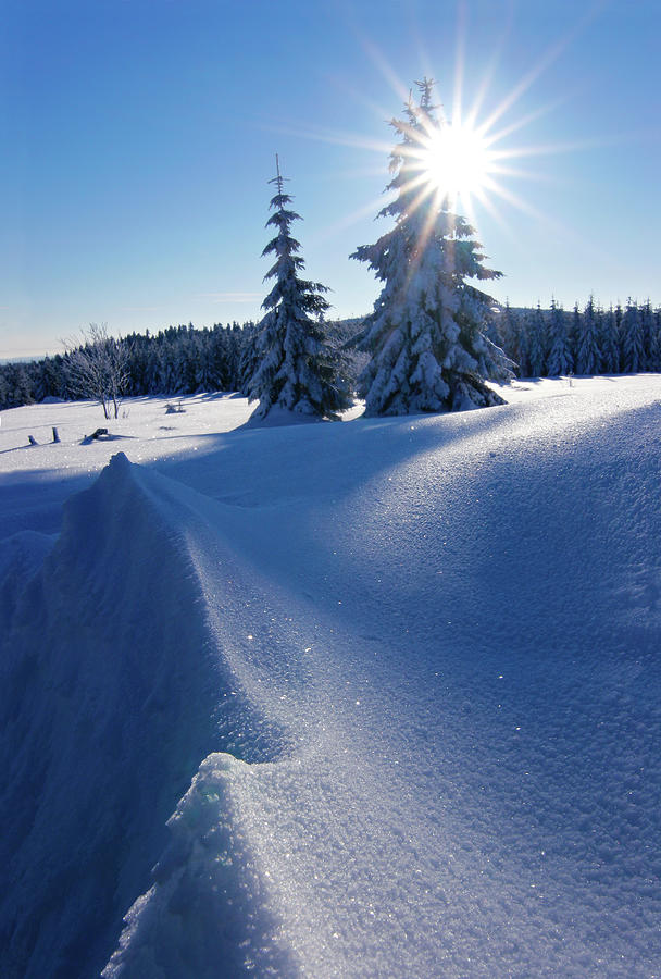 Winter Sun Photograph by Avtg