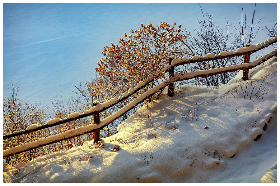 Winter Sun Photograph by David Oakill