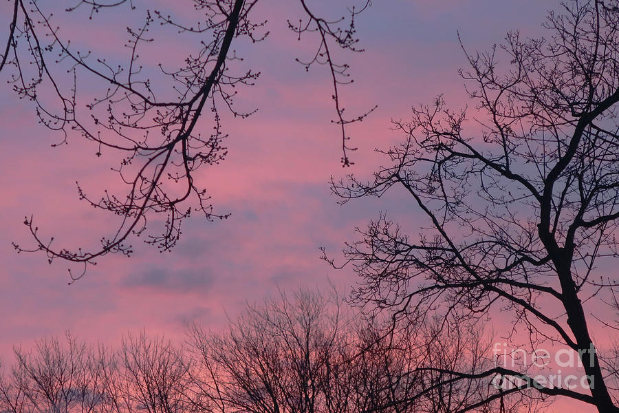 Winter Sunrise Photograph by Ann Horn