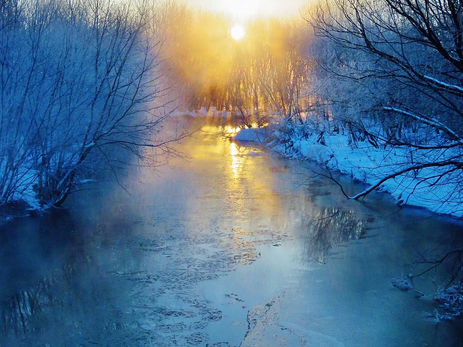 Winter Sunrise  Photograph by Lori Frisch
