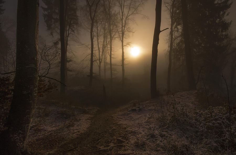 Winter Sunrise Photograph by Norbert Maier