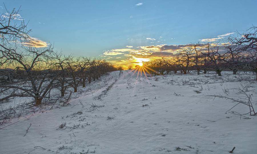Winter Sunset at Roes Orchards Photograph by Angelo Marcialis