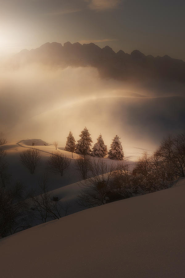 Winter Sunset Photograph by Filippo Manini