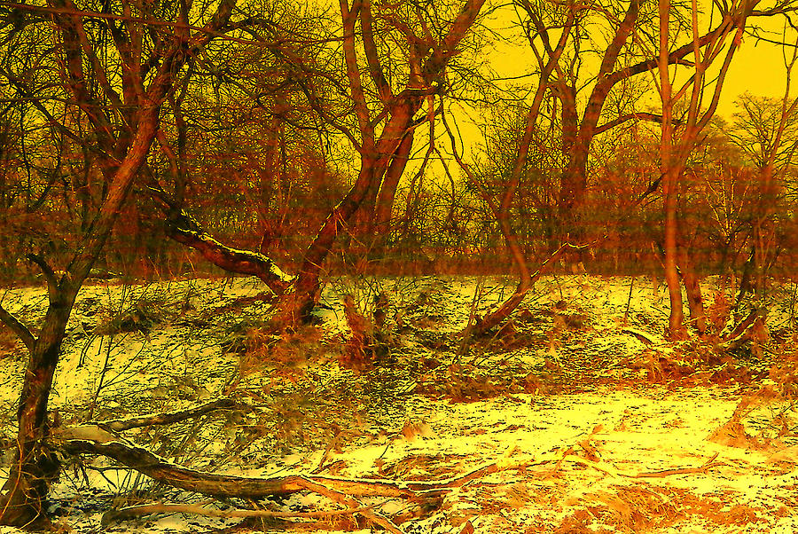 Winter Sunset by Henryk Gorecki Winter Sunset by Henryk Gorecki