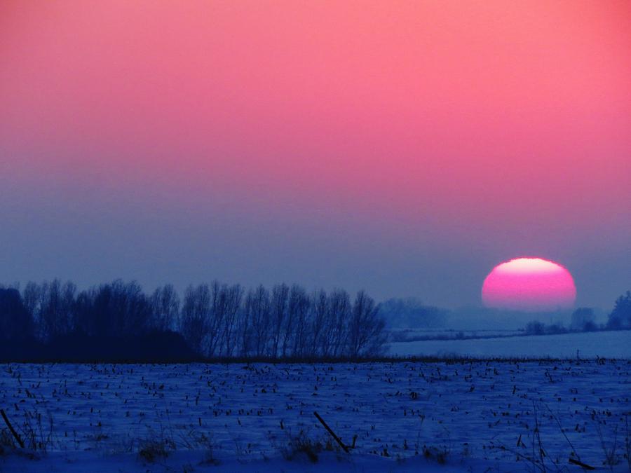 Winter Sunset in Pink and Blue  Photograph by Lori Frisch