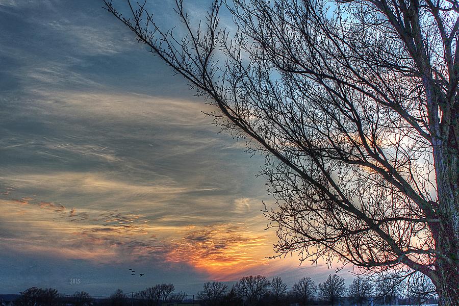 Winter Sunset by Karen McKenzie McAdoo Winter Sunset by Karen McKenzie McAdoo