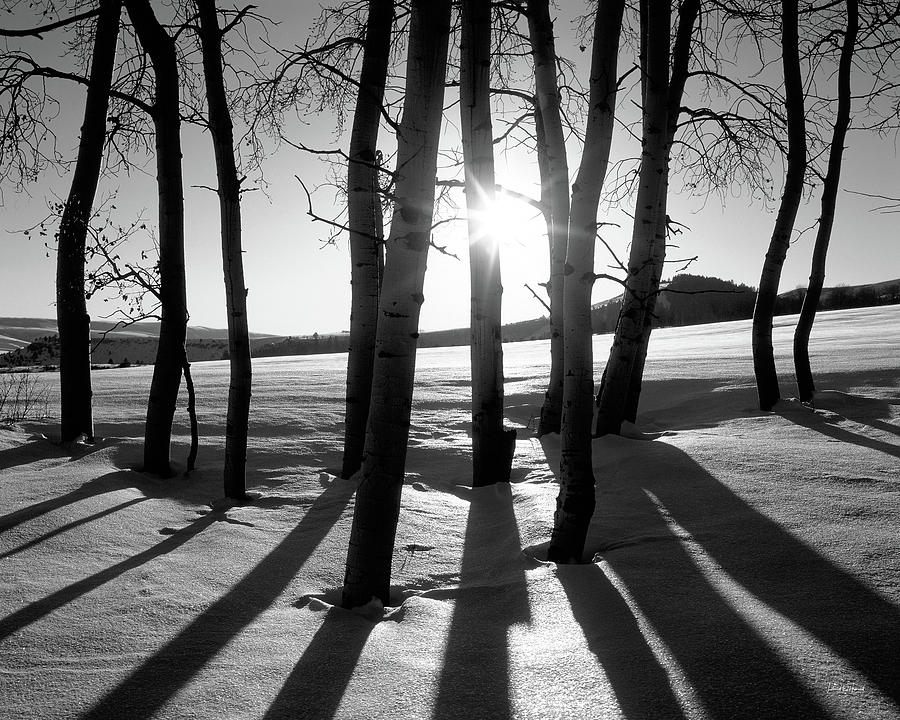 Winter Sunset Photograph by Leland D Howard