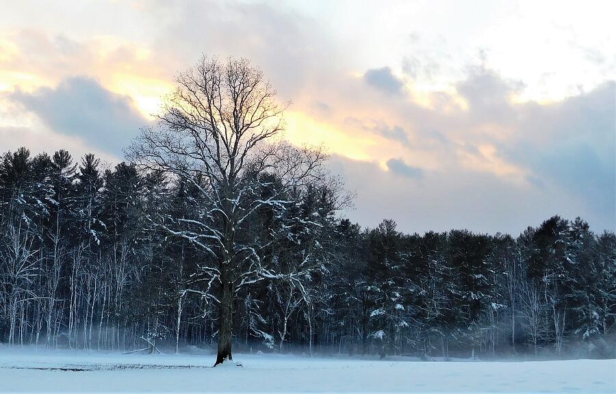 - Winter Sunset Photograph by THERESA Nye