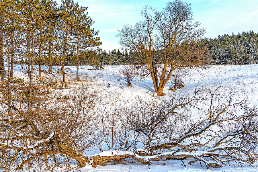 Winter Swale Photograph