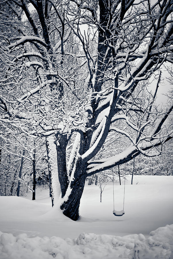 Winter Photograph - Winter Swing by Maggie Terlecki