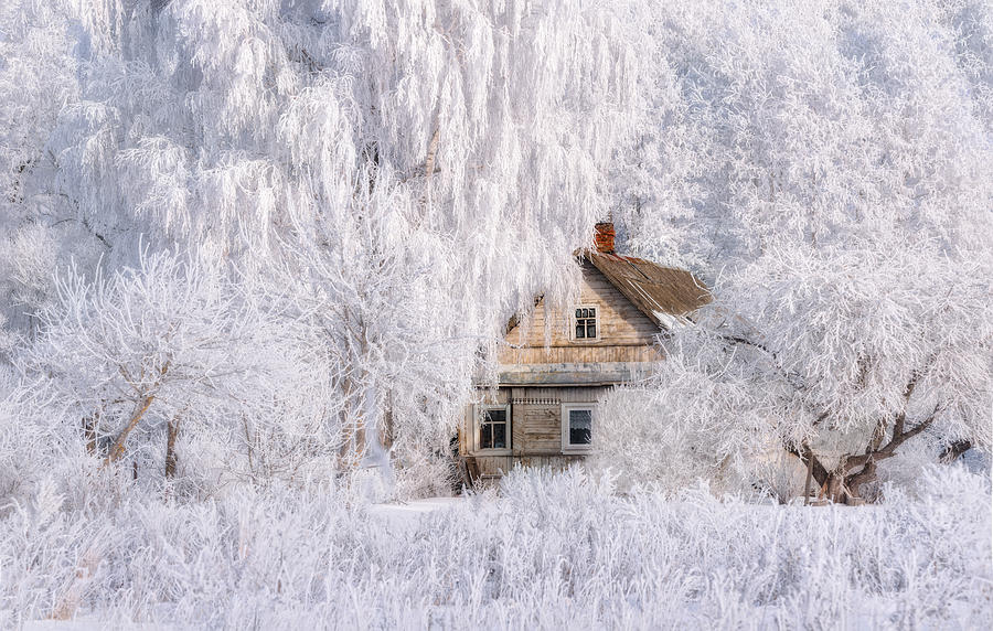 Winter Photograph - Winter Tale by Vlad Sokolovsky