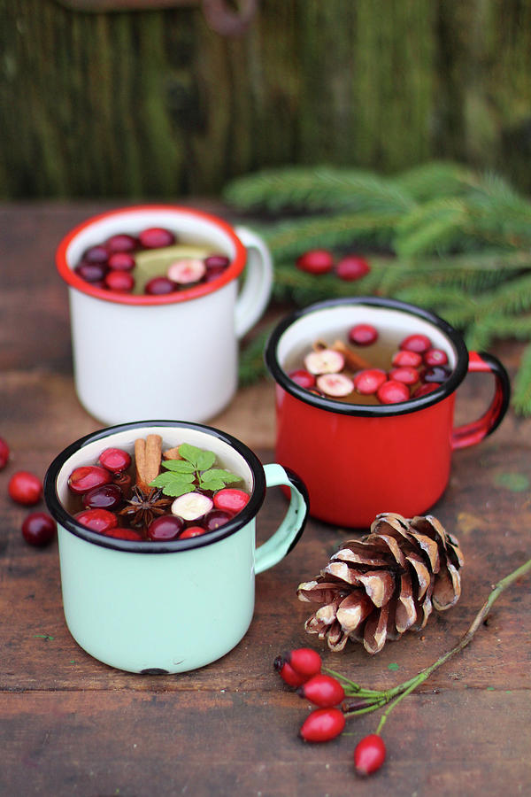 Winter Tea With Cranberries And Cinnamon Photograph by Sylvia E.k Photography