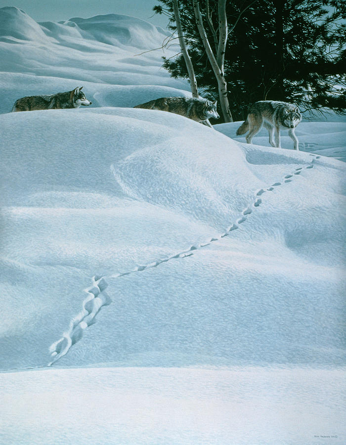 Winter Tracking Painting by Ron Parker