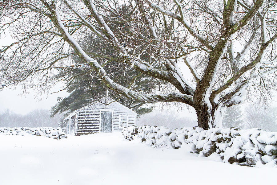 Winter Tranquility by Steven David Roberts Winter Tranquility by Steven David Roberts
