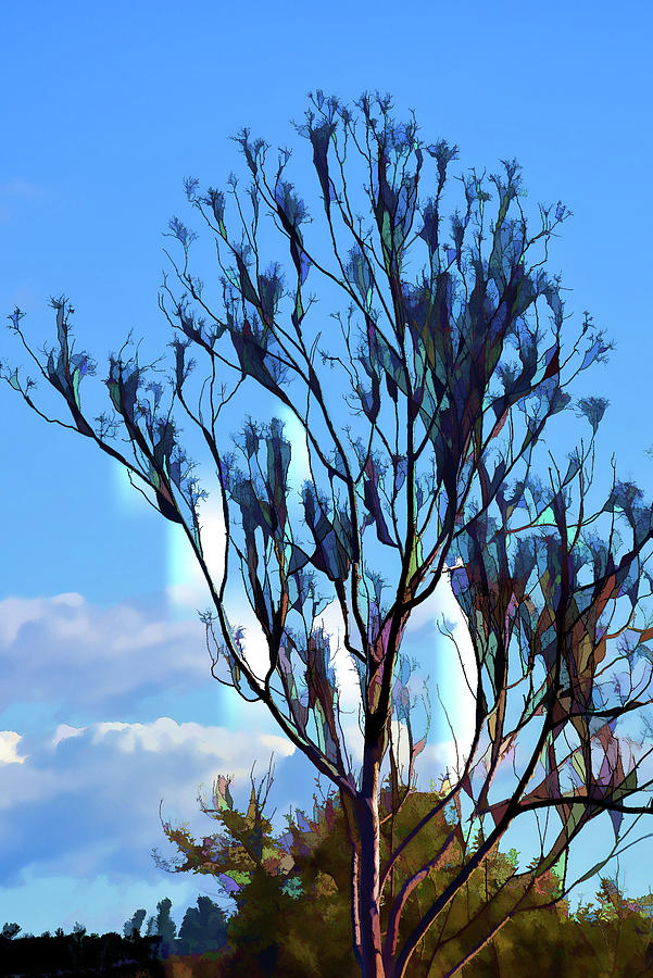 Winter Tree Abstract 3 Digital Art by Linda Brody
